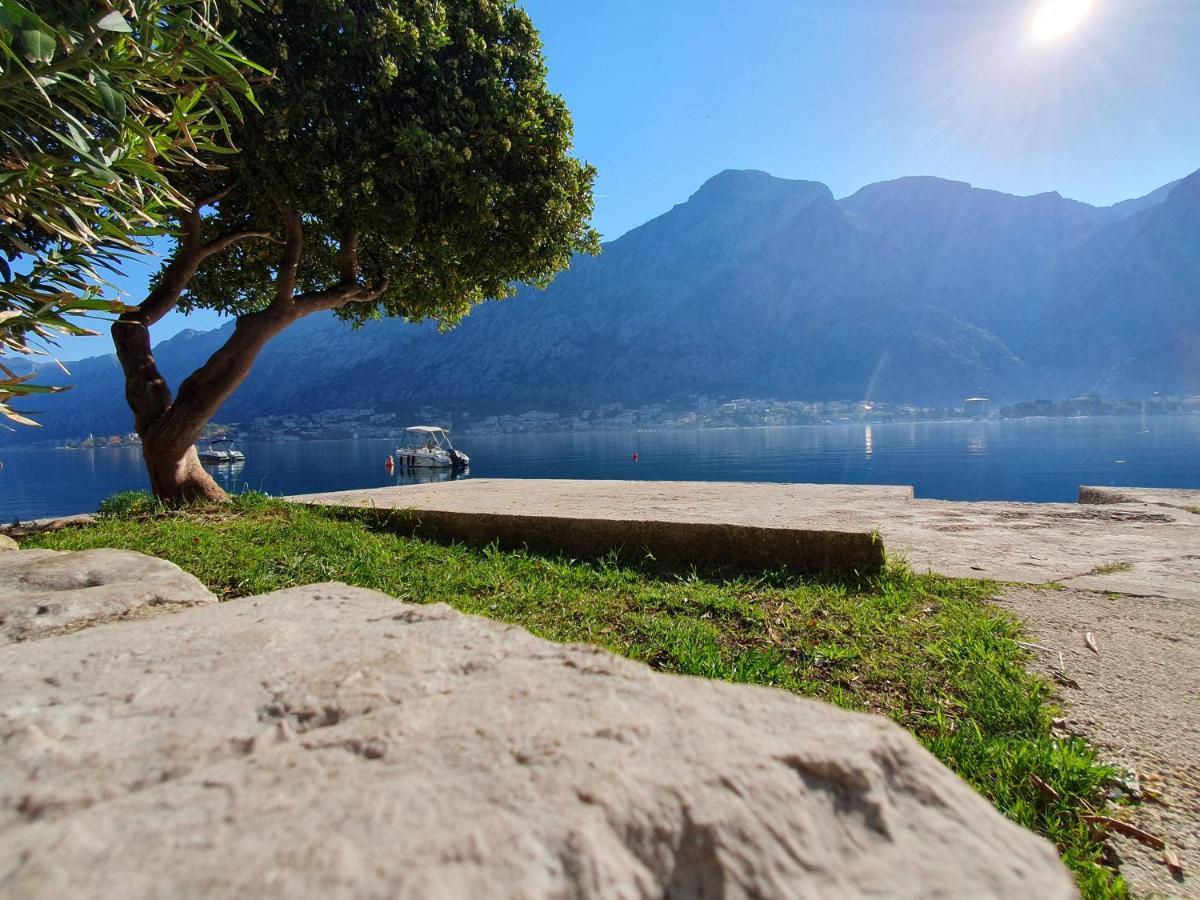 Apartman Pontica Kotor Exterior foto