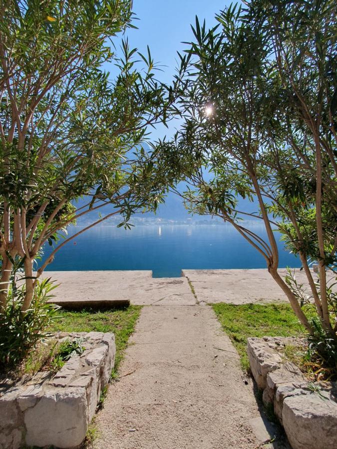 Apartman Pontica Kotor Exterior foto